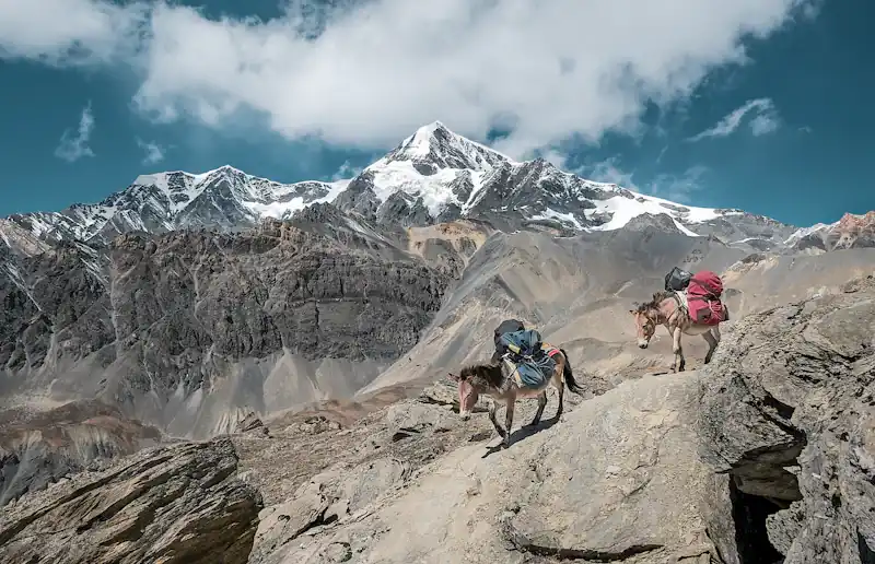 The 3-Layer Rule: What to Pack for High-Altitude Himalayan Expeditions