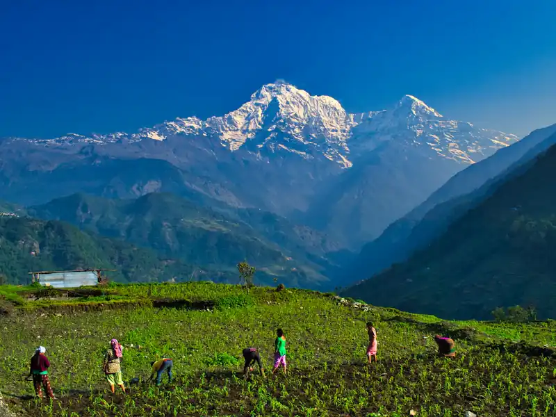 The 3-Layer Rule: What to Pack for High-Altitude Himalayan Expeditions - on the trail