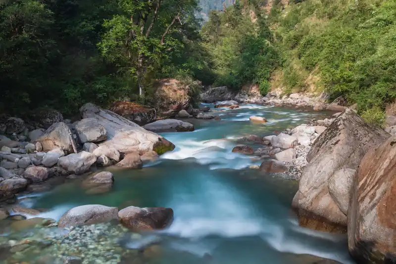 A river running through a forest.