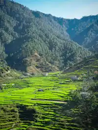 Best Summer Treks in Uttarakhand: Flowers, Glaciers and High Meadows