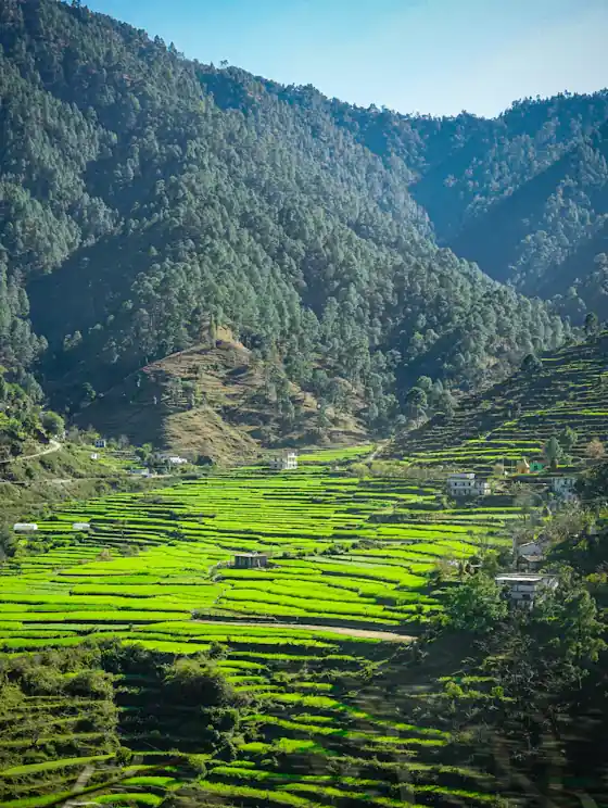 Best Summer Treks in Uttarakhand: Flowers, Glaciers and High Meadows