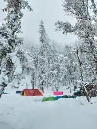 Best Winter Treks in Uttarakhand: Kedarkantha, Brahmatal, Dayara Bugyal and More