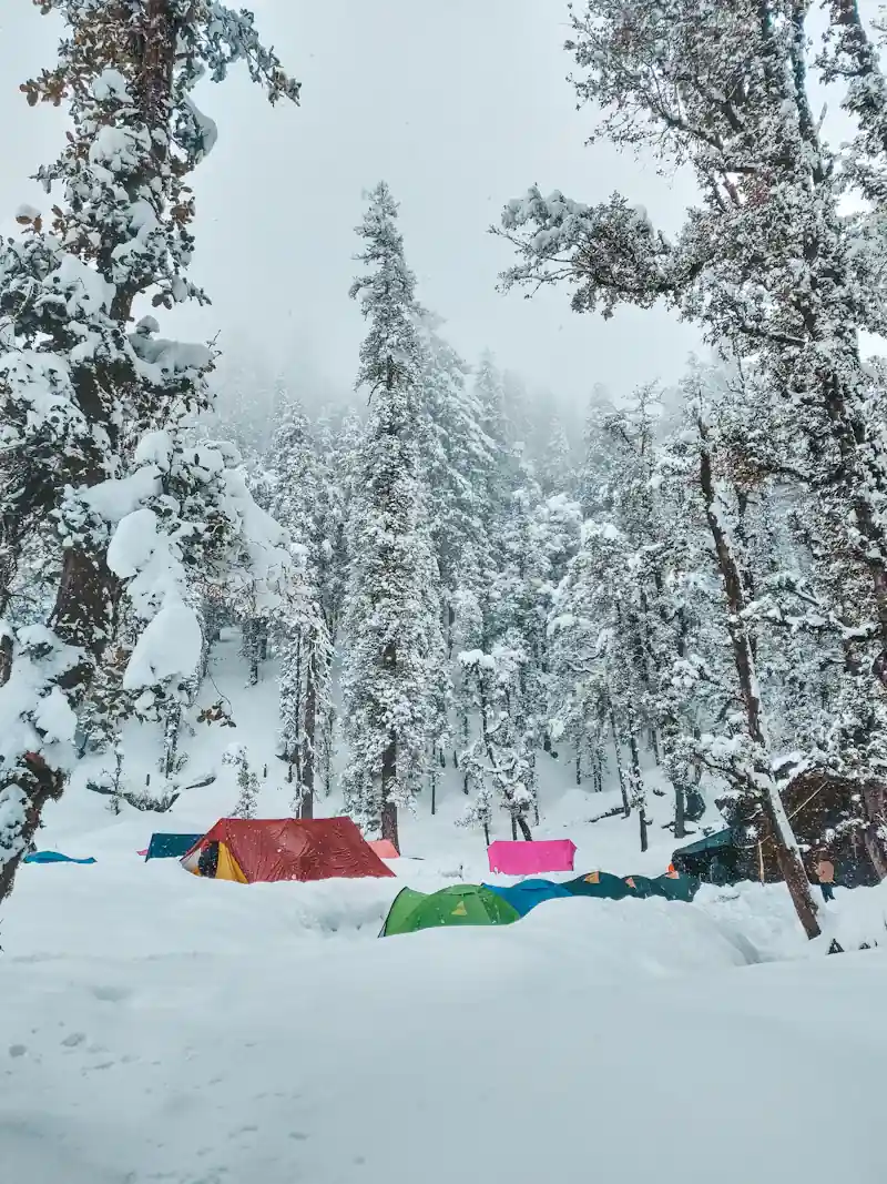 Best Winter Treks in Uttarakhand: Kedarkantha, Brahmatal, Dayara Bugyal and More