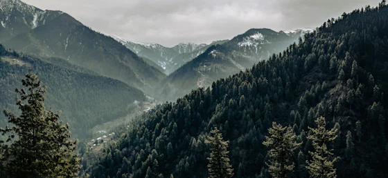 Manali, Kasol & Jibhi photo 3