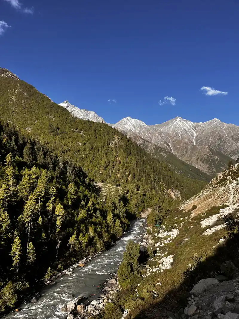 A forested slope above a river valley in Kullu.