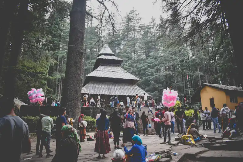 A wooden pagoda-style temple among tall trees.