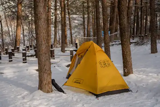 Camp in the snowy woods