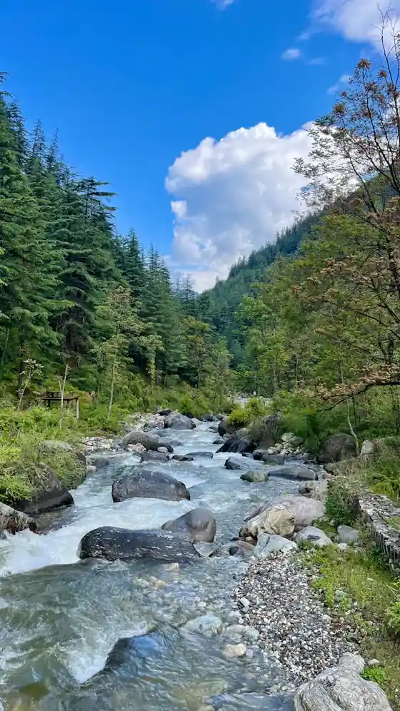 Manali, Kasol & Jibhi photo 2
